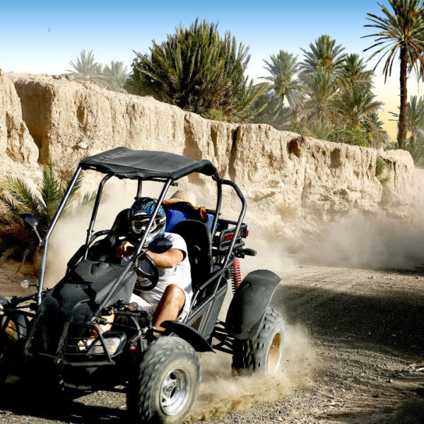 Buggy Biking in Marrakech’s Palm Grove