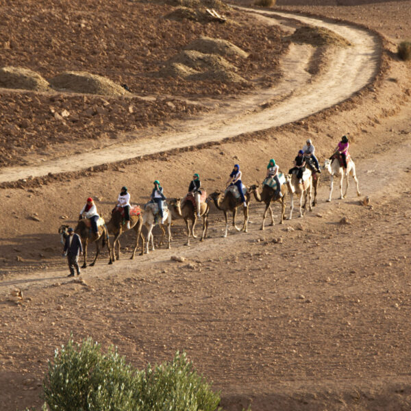 Camel Ride & Quad Biking in Agafay Desert