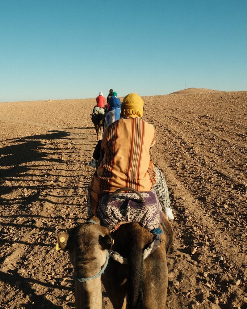 A group of people riding on the back of a camel