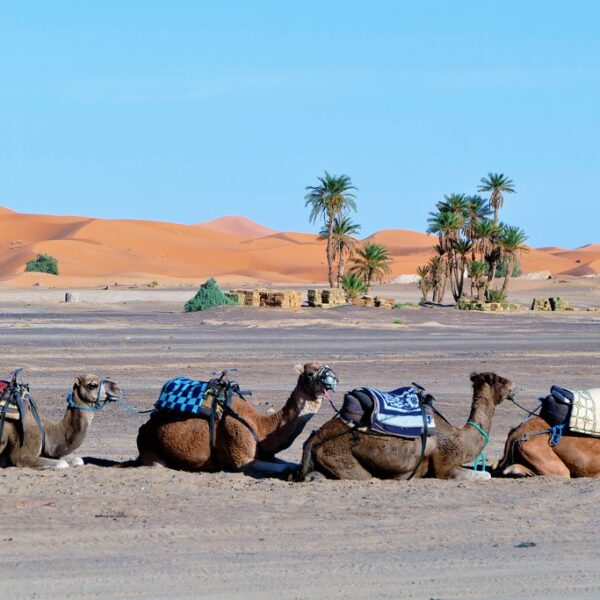 5 days from Marrakech to Erg chebbi Merzouga