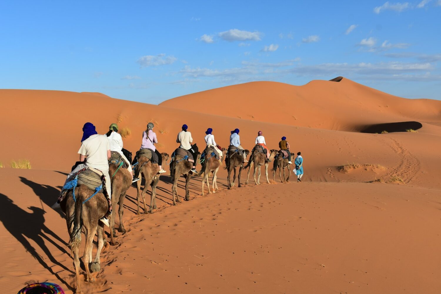 a group of people riding camels in the desert