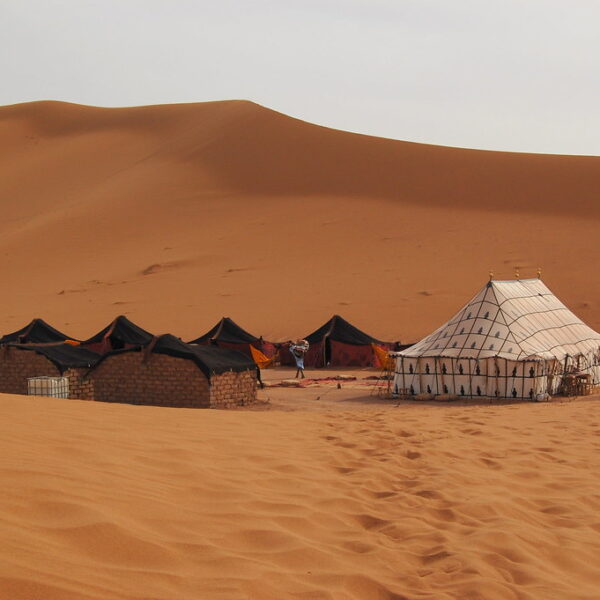 7 days Marrakech desert tour