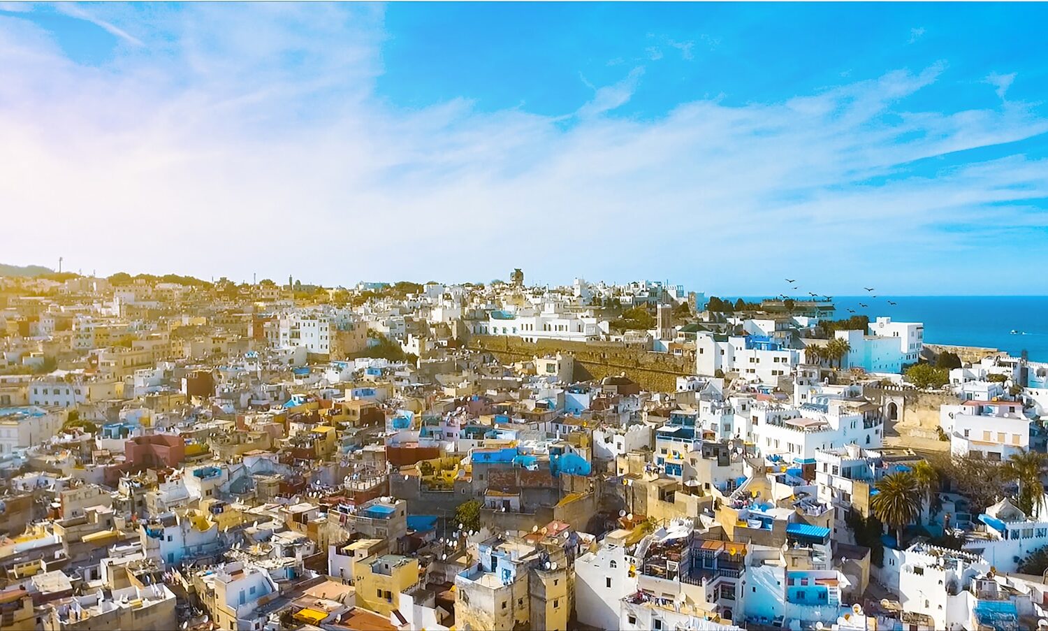 areal view of white and blue houses