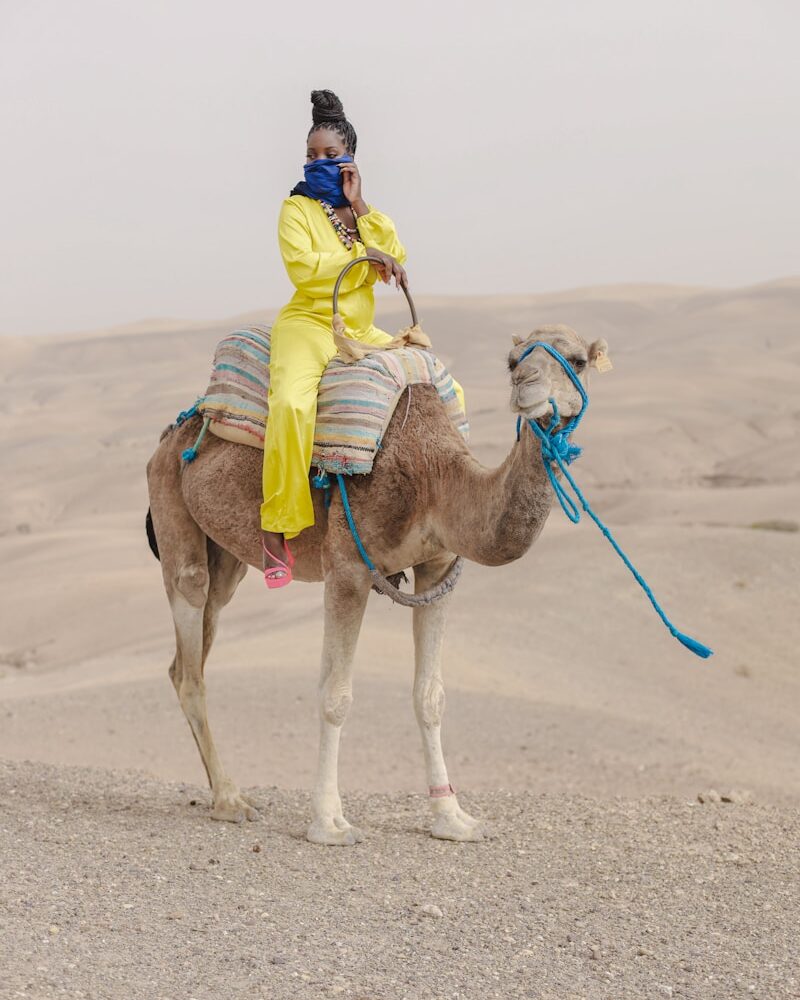 a person riding a camel