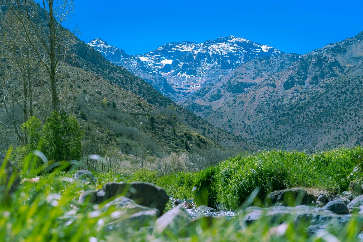 a view of a mountain range with a stream running through it