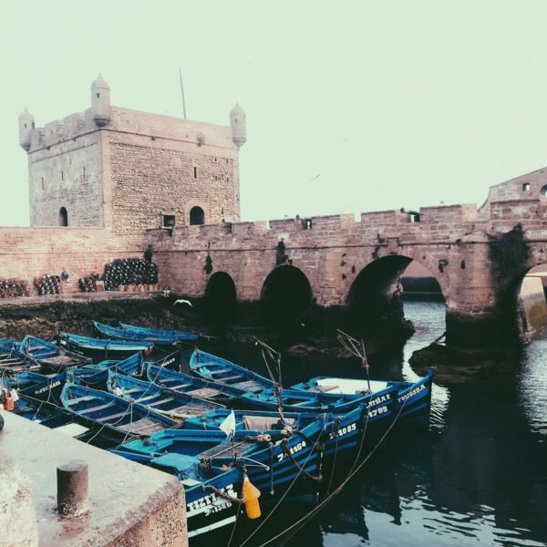 blue boats on dock during daytime